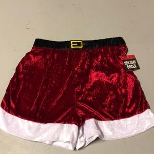 Holiday Santa boxer shorts